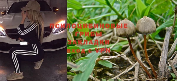 амфетамин Дмитриев