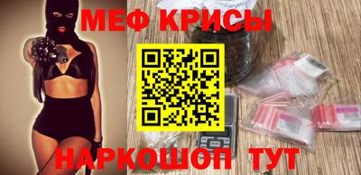 молекула духа Кингисепп