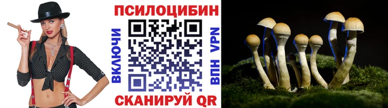 Псилоцибиновые грибы ЛСД  Железногорск 