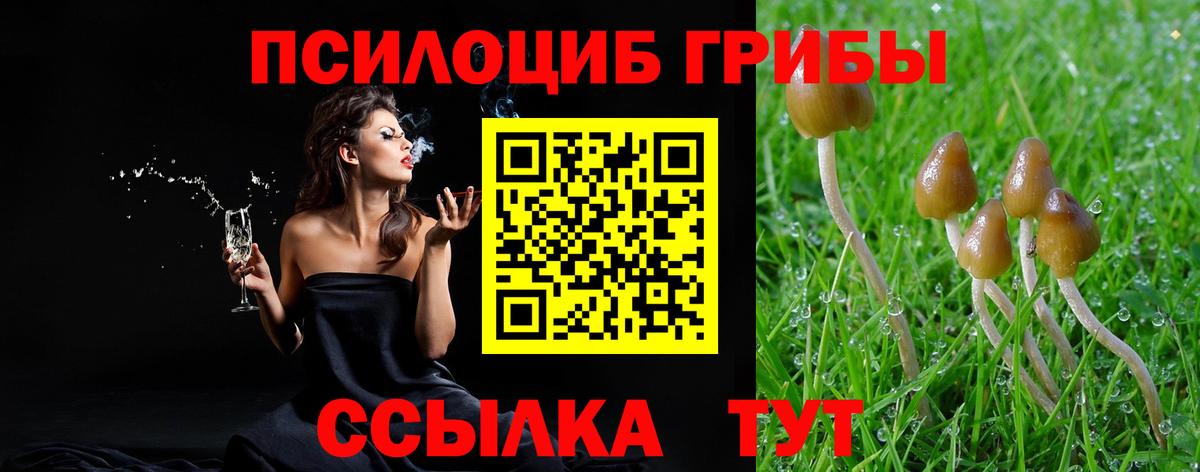 Галлюциногенные грибы GOLDEN TEACHER  Вход с VPN  купить наркотик  Галлюциногенные грибы прущие грибы  Железногорск 